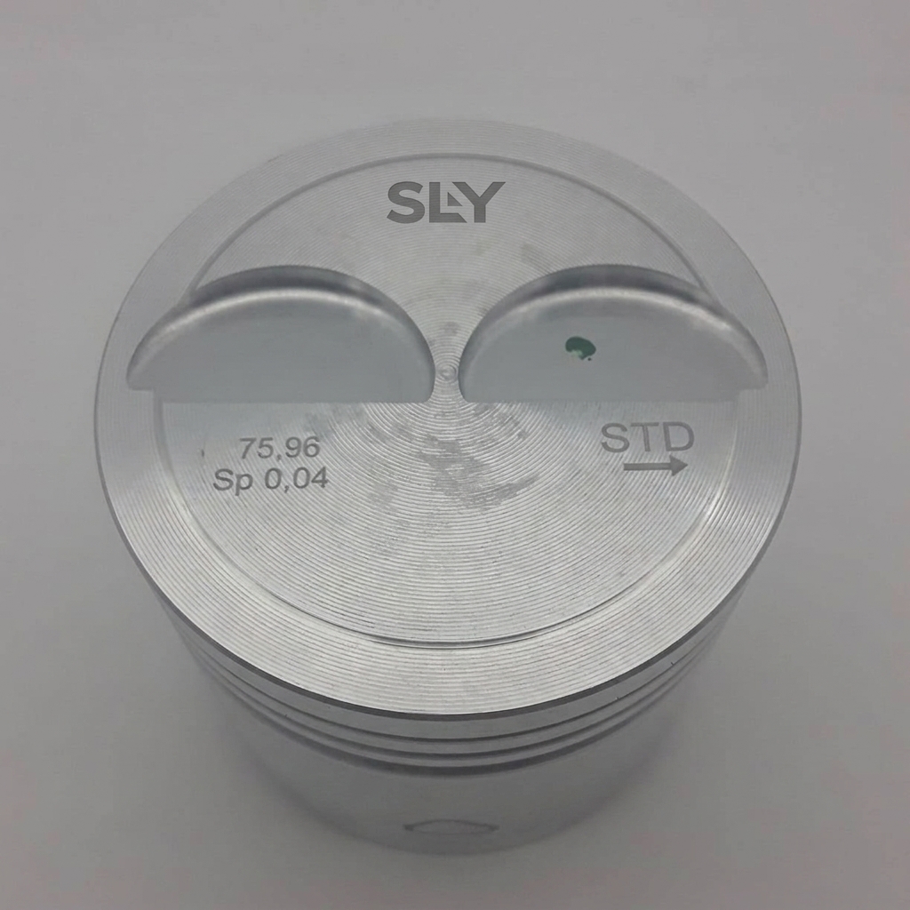 PS 4554 — foto 1