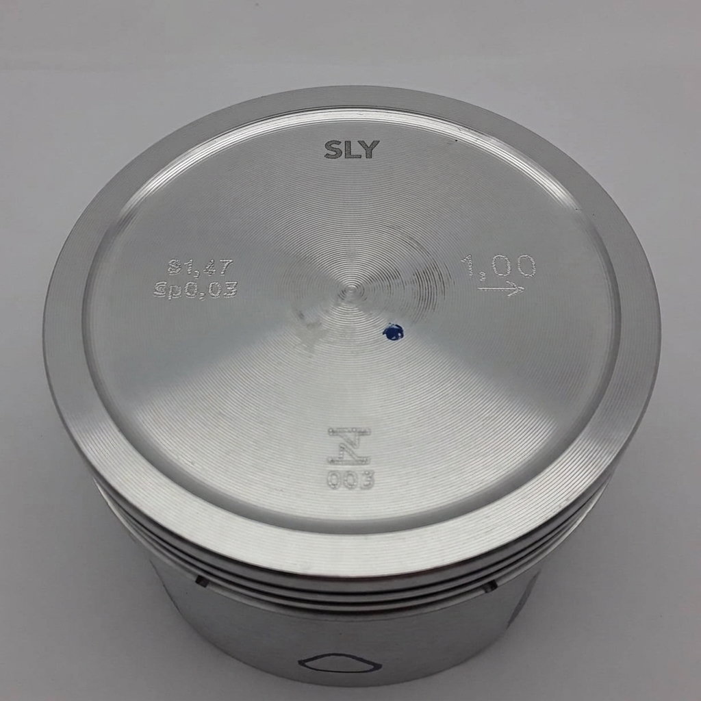 PS 4019 — foto 4