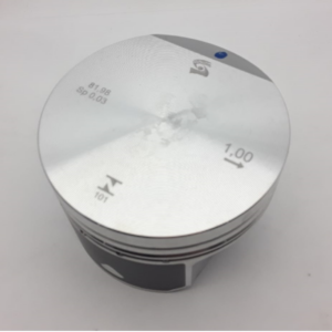 PS 4006S